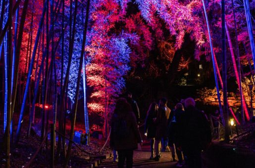 Trame di Luce a Roma: Il Natale ha una nuova luce